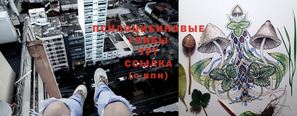 ПСИЛОЦИБИНОВЫЕ ГРИБЫ Покачи