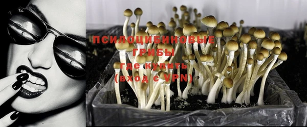 бошки Абинск