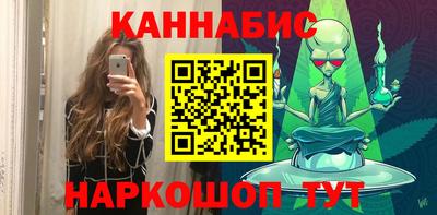 дмт Кингисепп