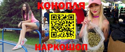 дмт Кингисепп