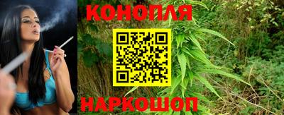 дмт Кингисепп