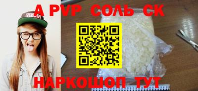 дмт Кингисепп