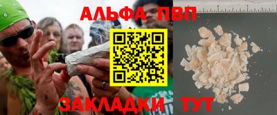 дмт Кингисепп