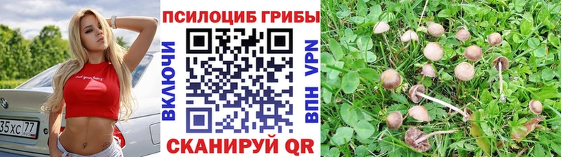 Псилоцибиновые грибы MAGIC MUSHROOMS Карасук