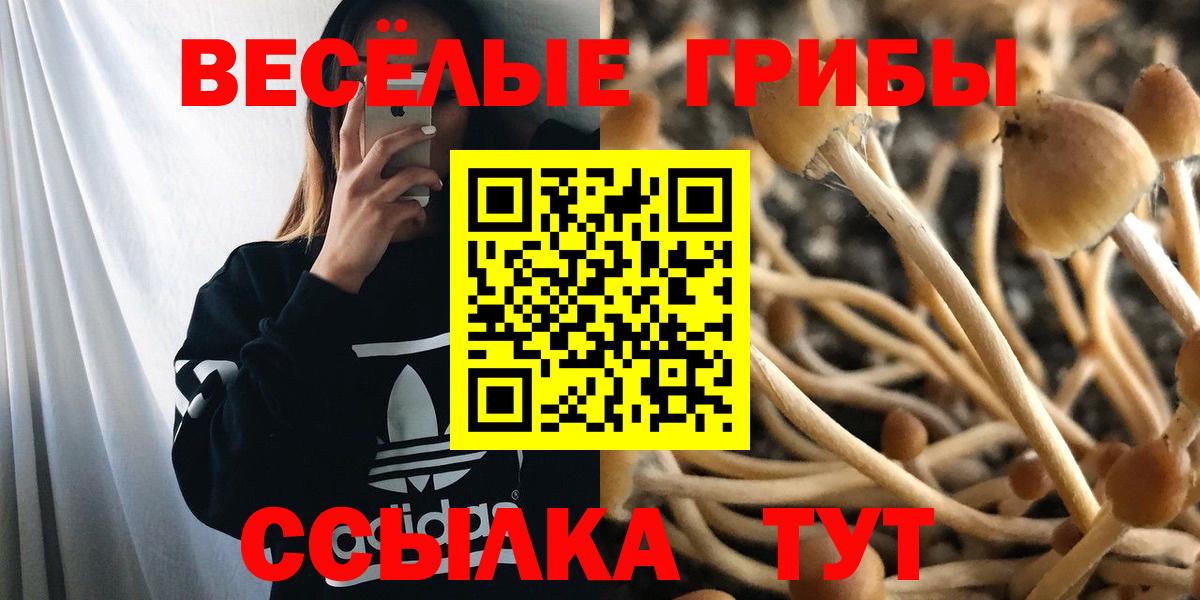 Галлюциногенные грибы Magic Shrooms  Вход с VPN  Карасук 