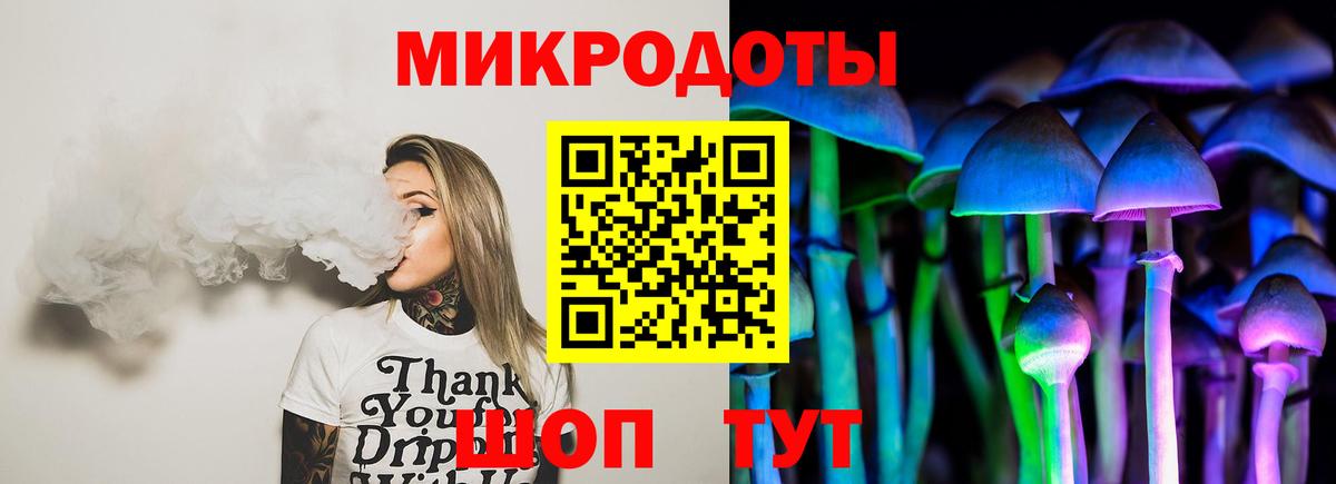 Галлюциногенные грибы Psilocybine cubensis Карасук