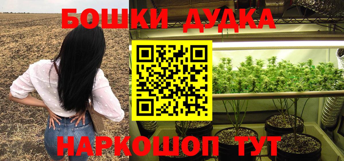 Конопля план  Марихуана конопля  Карасук  Канабис Amnesia  Вход с VPN  Шишки марихуана ГИДРОПОН 